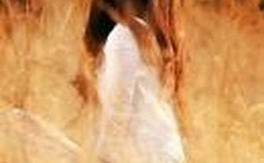 女人被添全过程A片试看V